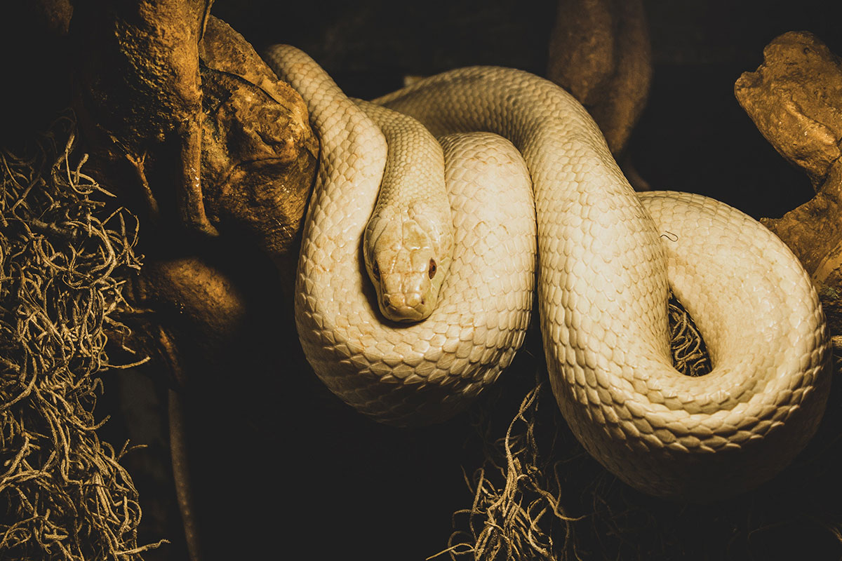 4 Actions To Take When You Face A Leadership Attack