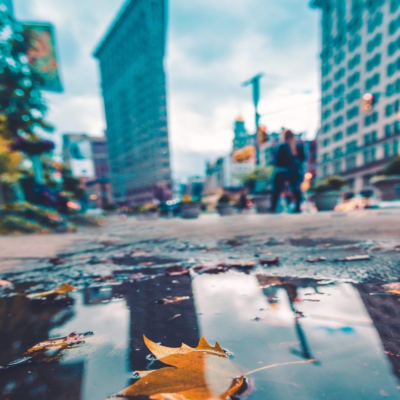 leaf city leaf city